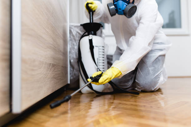 Flea Control Services in Westview, FL