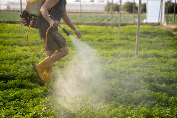 Best Affordable Pest Control Services  in Westview, FL