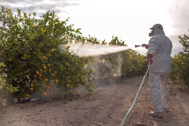 Best Pest Inspection Near Me  in Westview, FL
